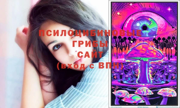 тгк Саяногорск
