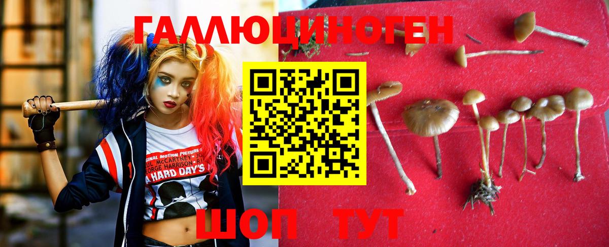 Партизанск  Галлюциногенные грибы MAGIC MUSHROOMS  Вход с VPN 